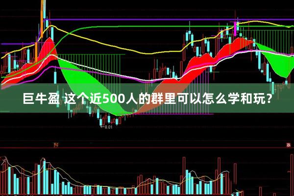 巨牛盈 这个近500人的群里可以怎么学和玩？