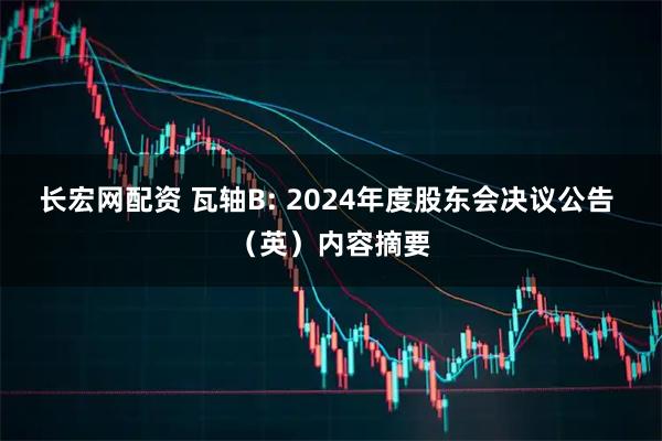 长宏网配资 瓦轴B: 2024年度股东会决议公告 （英）内容摘要