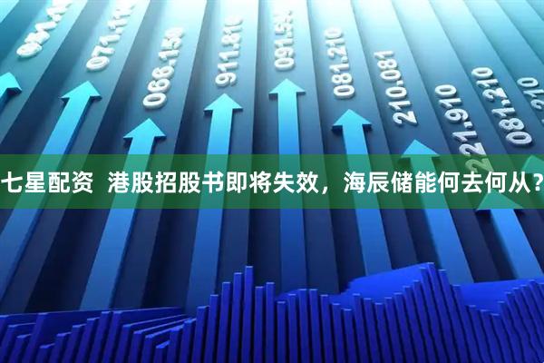 七星配资  港股招股书即将失效，海辰储能何去何从？