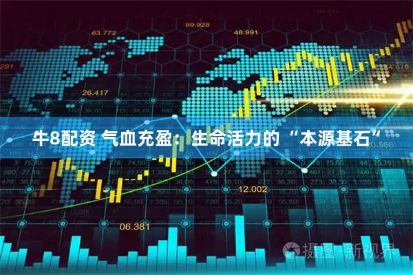 牛8配资 气血充盈：生命活力的 “本源基石”
