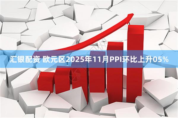 汇银配资 欧元区2025年11月PPI环比上升05%
