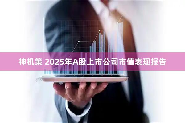 神机策 2025年A股上市公司市值表现报告