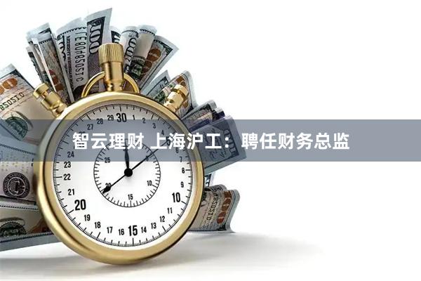 智云理财 上海沪工：聘任财务总监