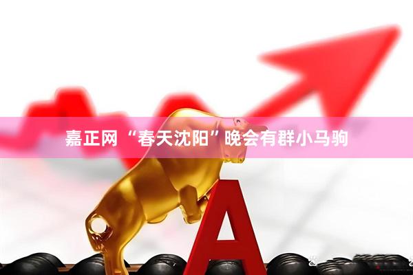 嘉正网 “春天沈阳”晚会有群小马驹